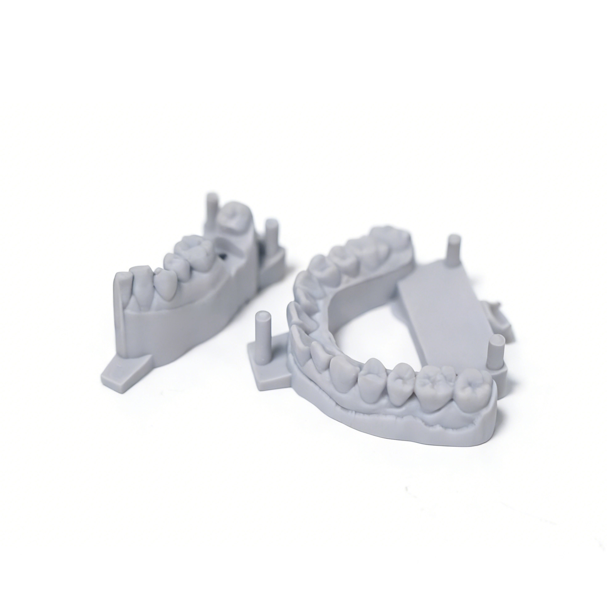 Gray Yidimu dental model resin with detailed 3D printed dental working models